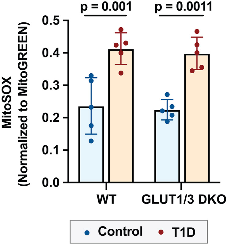 Figure 6: