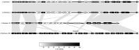 Figure 11.