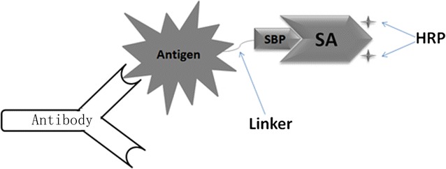 Fig. 1