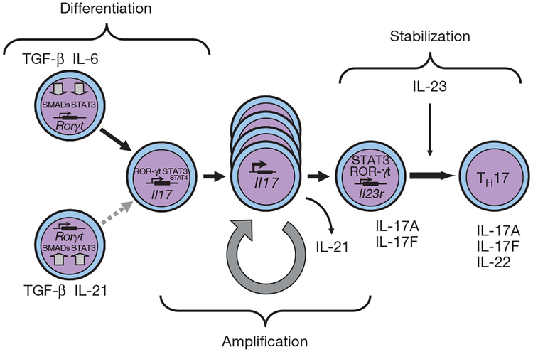 Figure 2 |