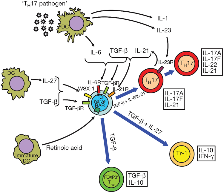 Figure 3 |