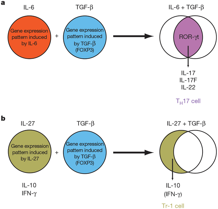 Figure 4 |