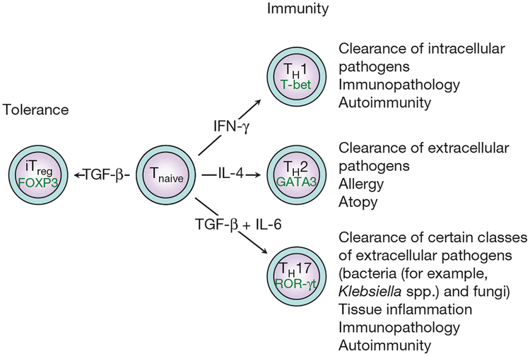 Figure 1 |