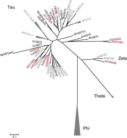 Fig. 7.