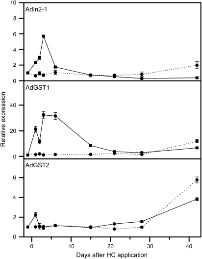 Fig. 6.