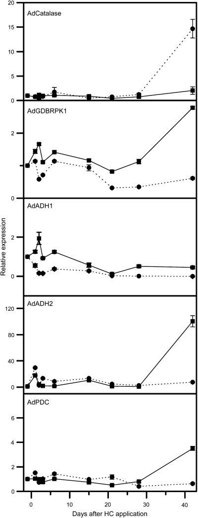 Fig. 5.