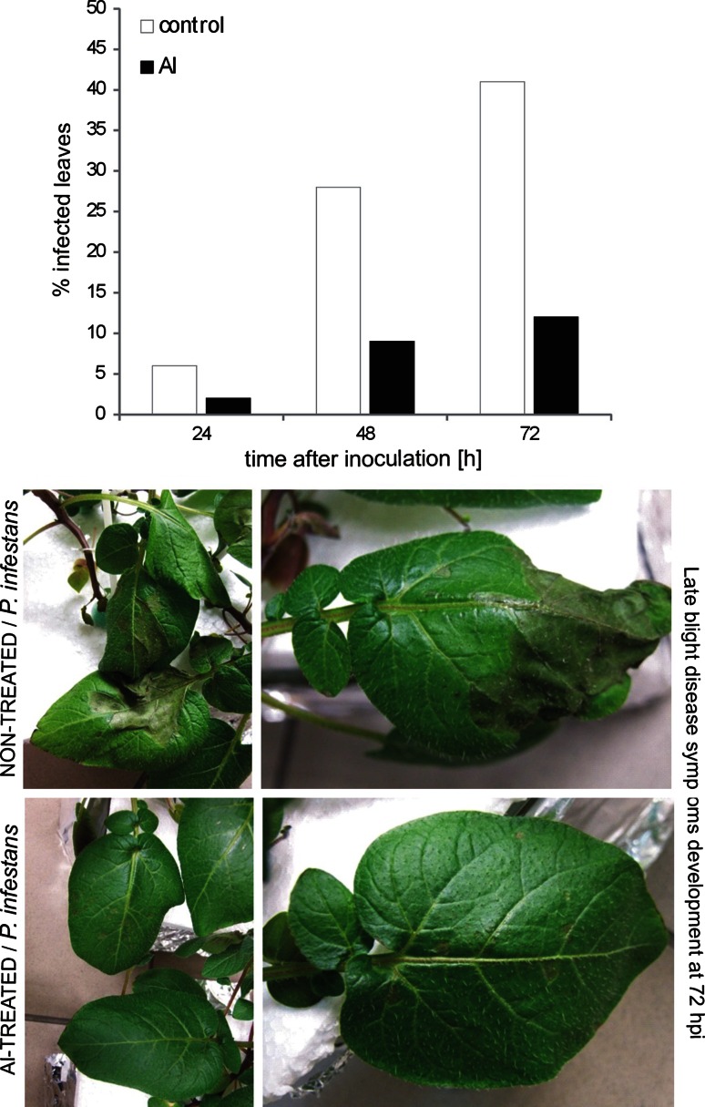 Fig. 7