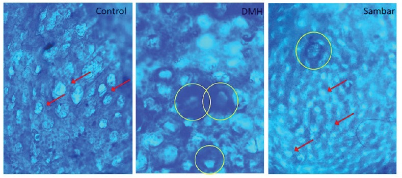 Figure 6