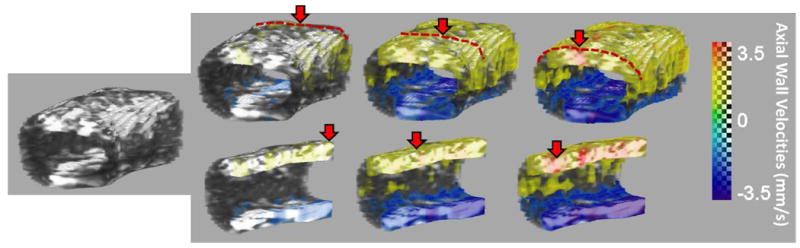 Fig. 9