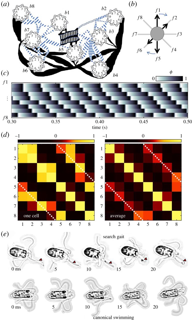 Figure 5.