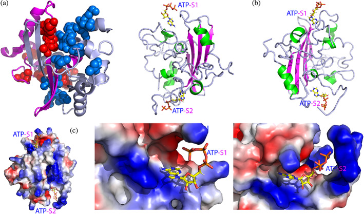 FIGURE 2