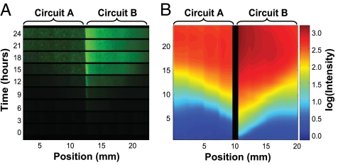 Fig. 3.