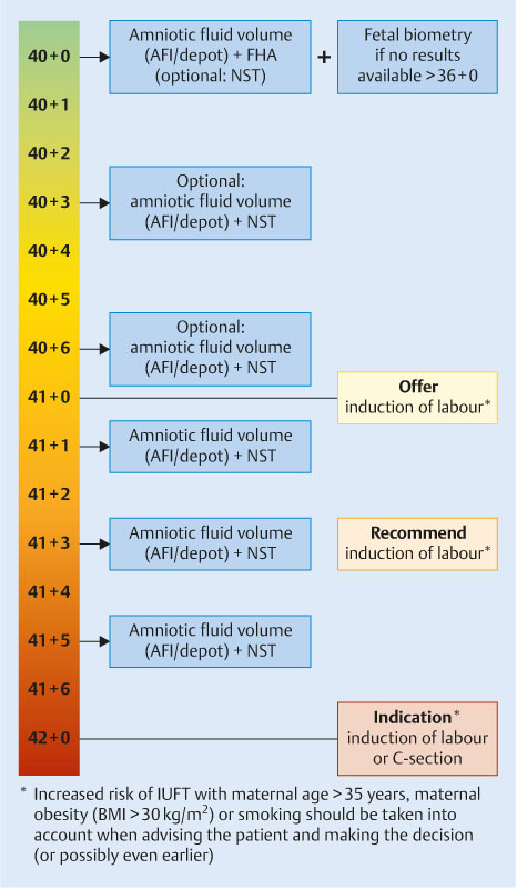 Fig. 2