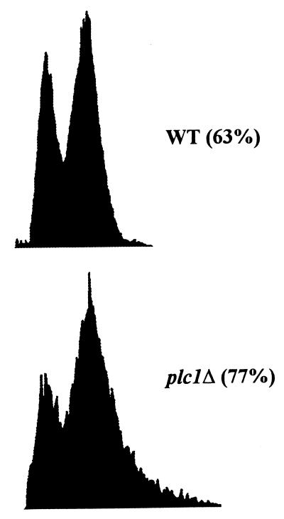 FIG. 5