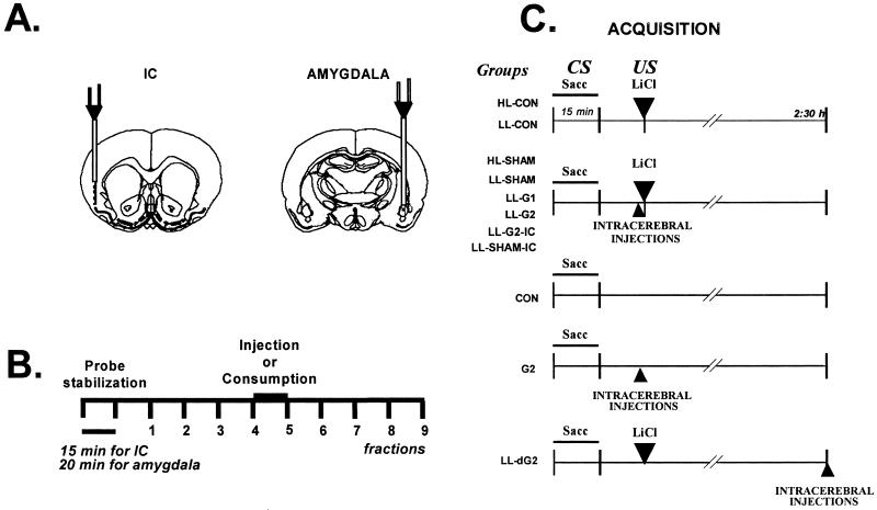 Fig 1.