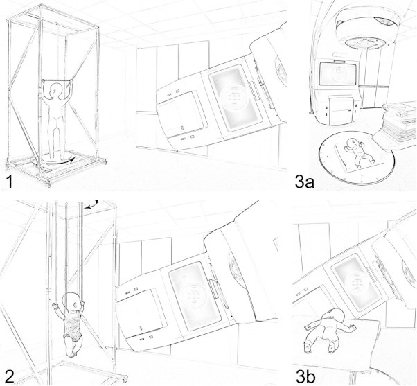 Fig. 1