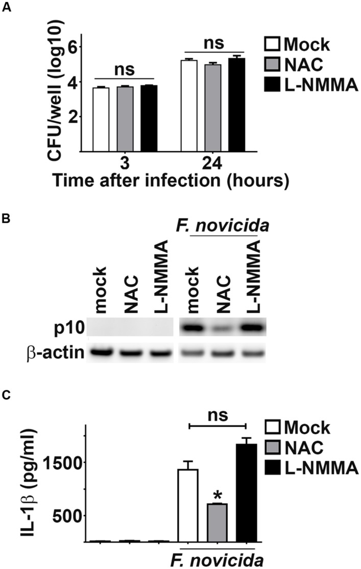 FIGURE 3