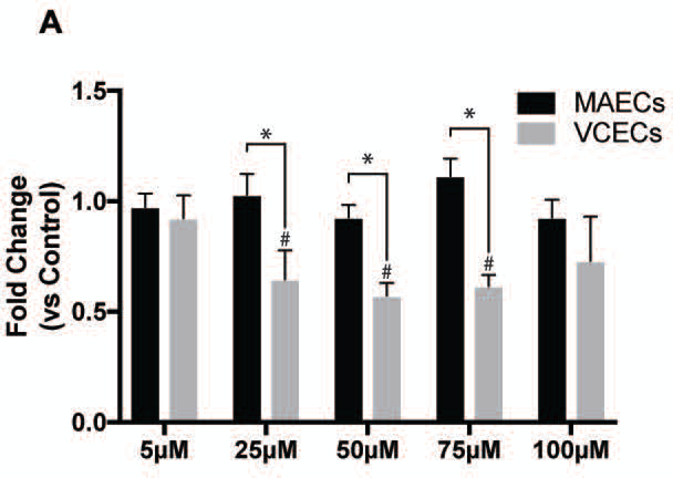 Figure 4: