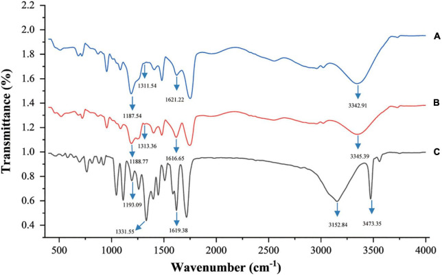 FIGURE 6