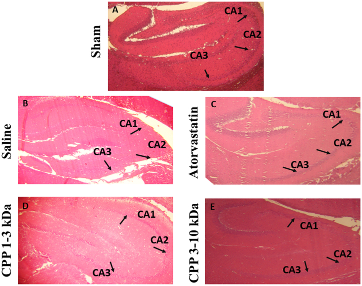 Fig. 9