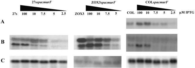 FIG. 9.