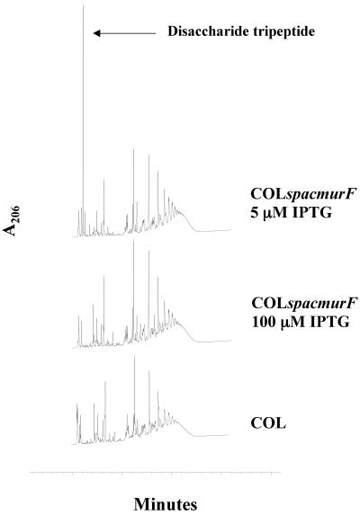 FIG. 7.