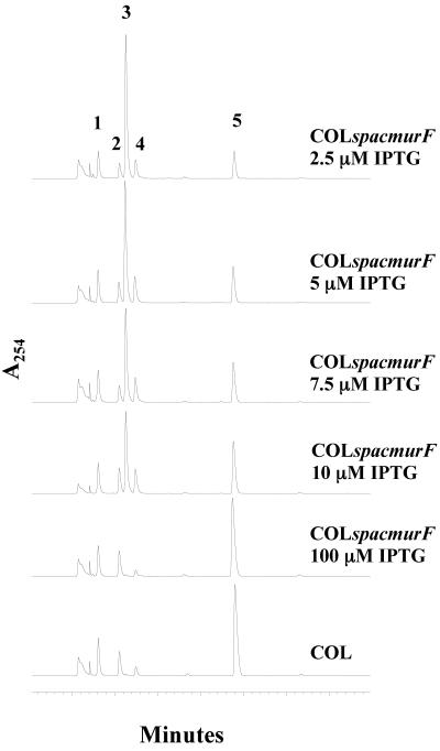 FIG. 6.