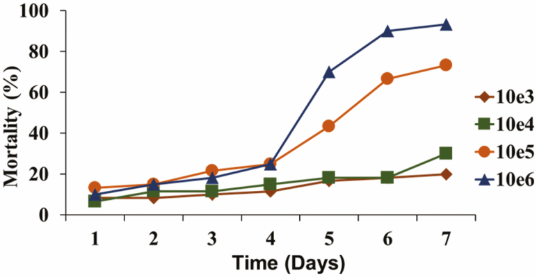 Fig. 4.