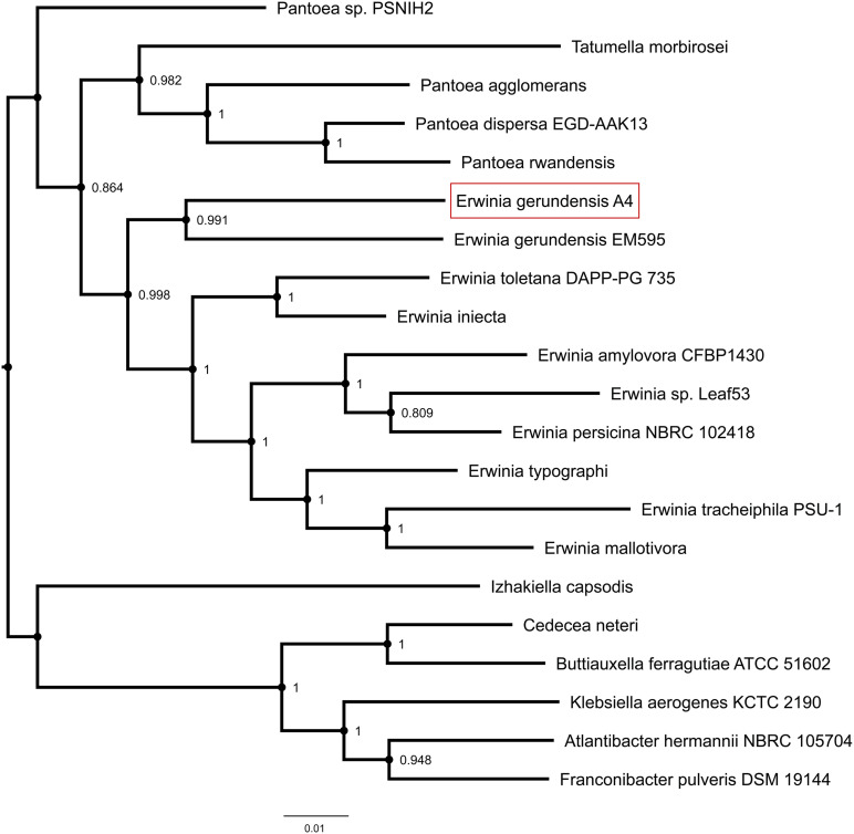 FIGURE 4