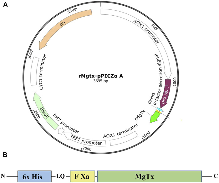 FIGURE 1