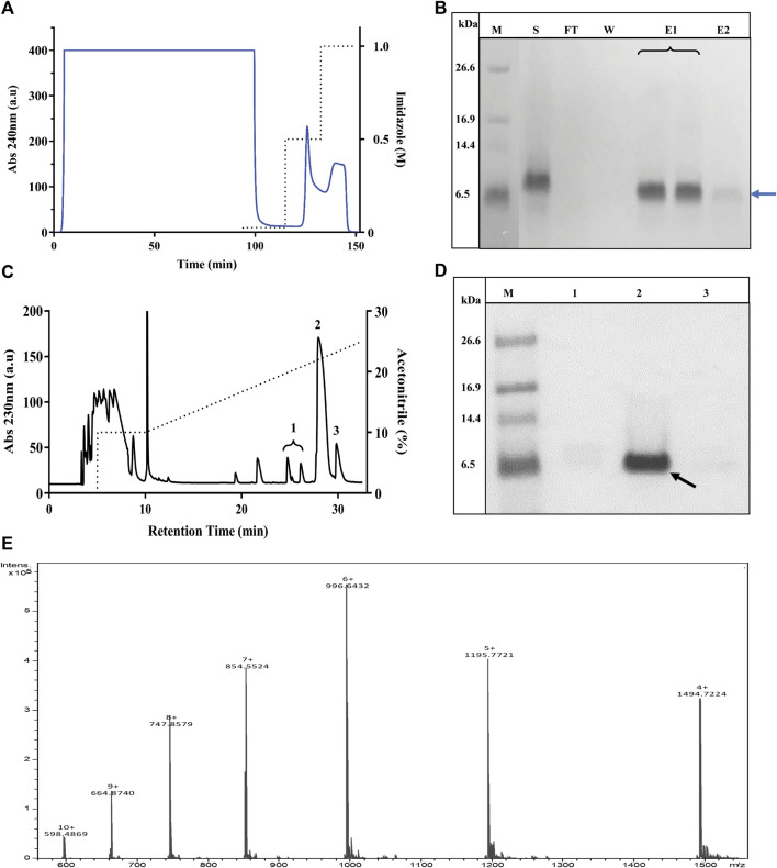 FIGURE 3