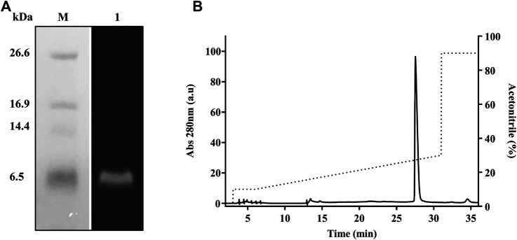 FIGURE 4