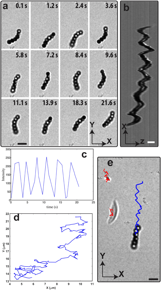 Figure 5