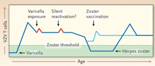 Figure 1)