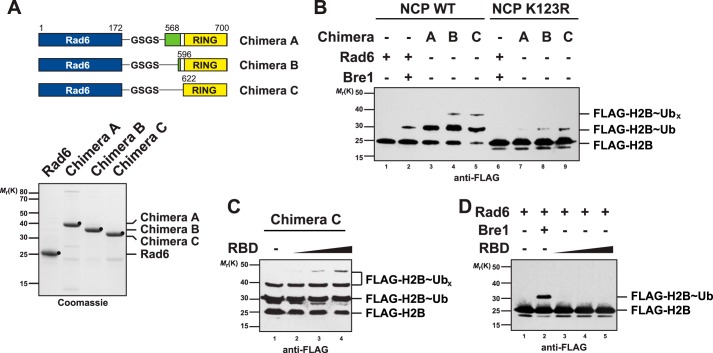 FIGURE 5.