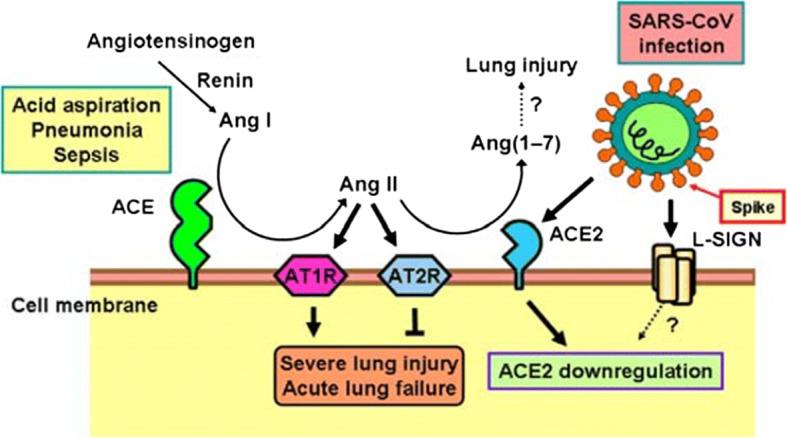 Fig. 3
