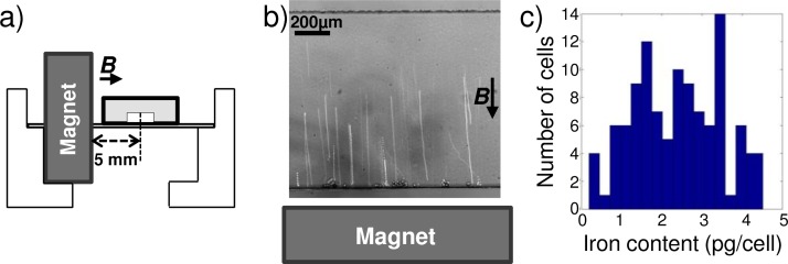 FIG. 12.