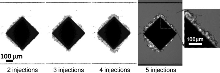 FIG. 10.