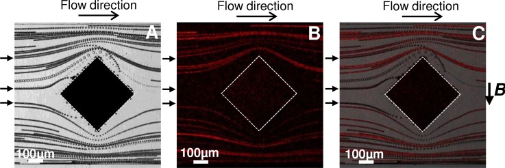 FIG. 9.