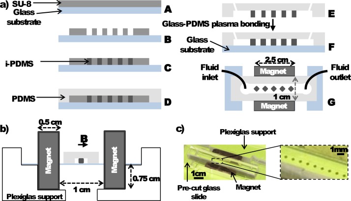 FIG. 1.