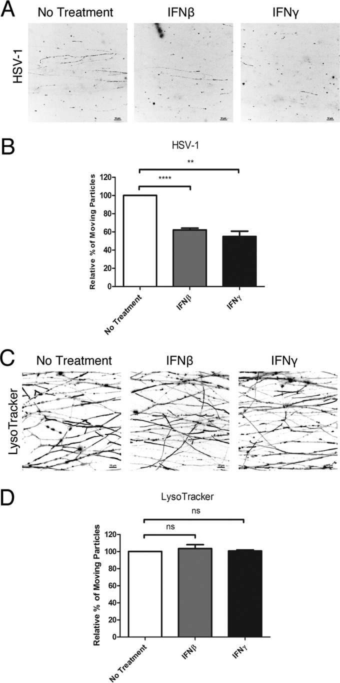 FIG 3 