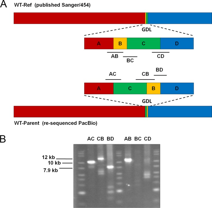 FIG 6