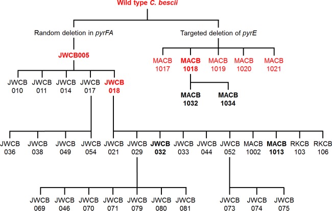 FIG 1