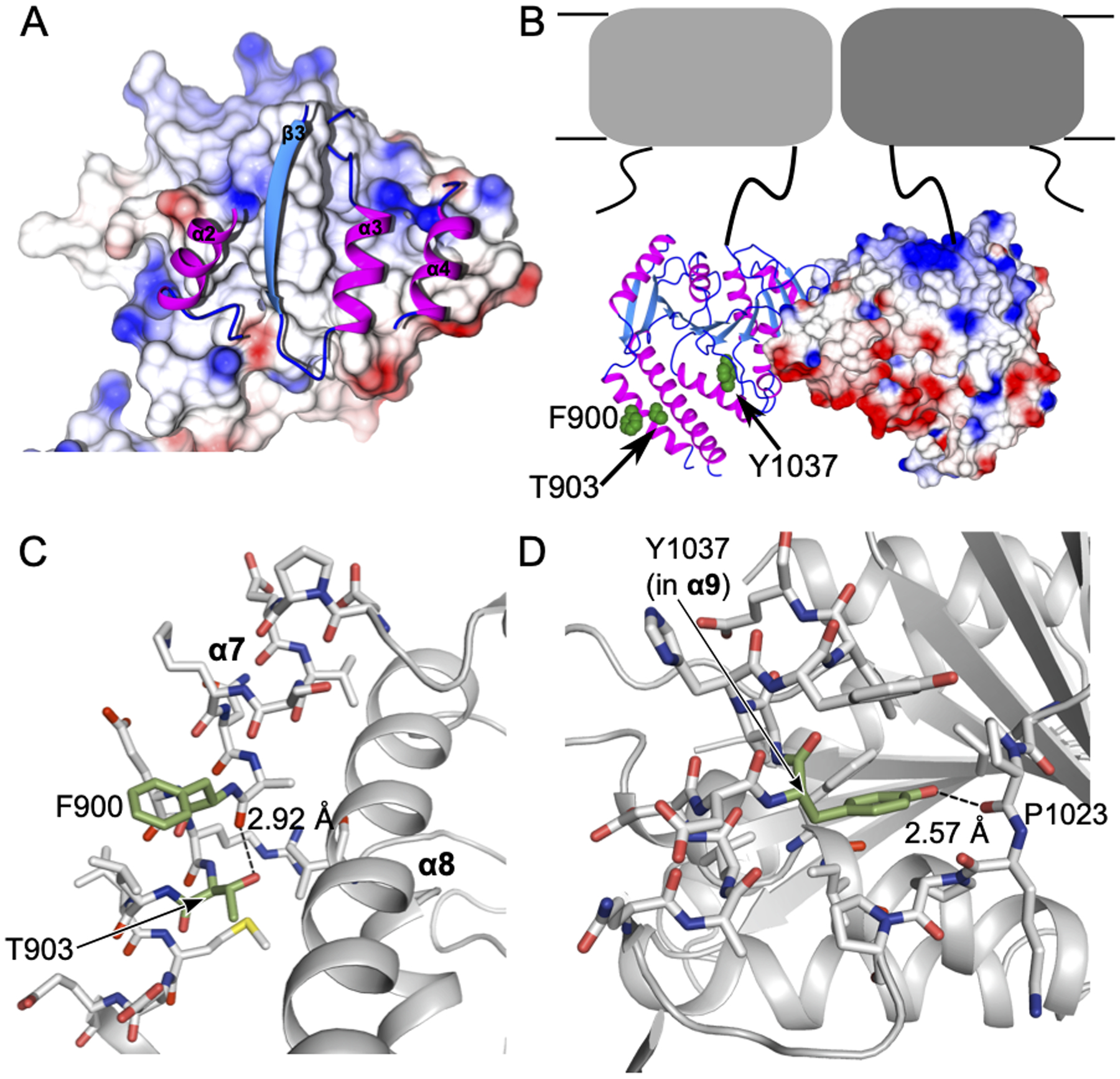 Figure 4.