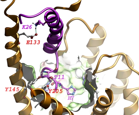 FIGURE 13.