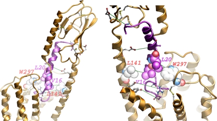 FIGURE 12.