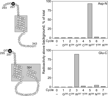 FIGURE 10.