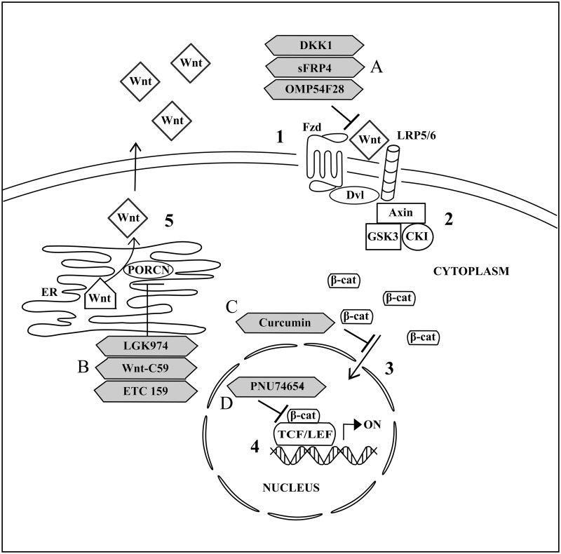 FIGURE 2