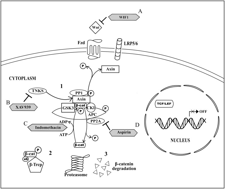 FIGURE 1