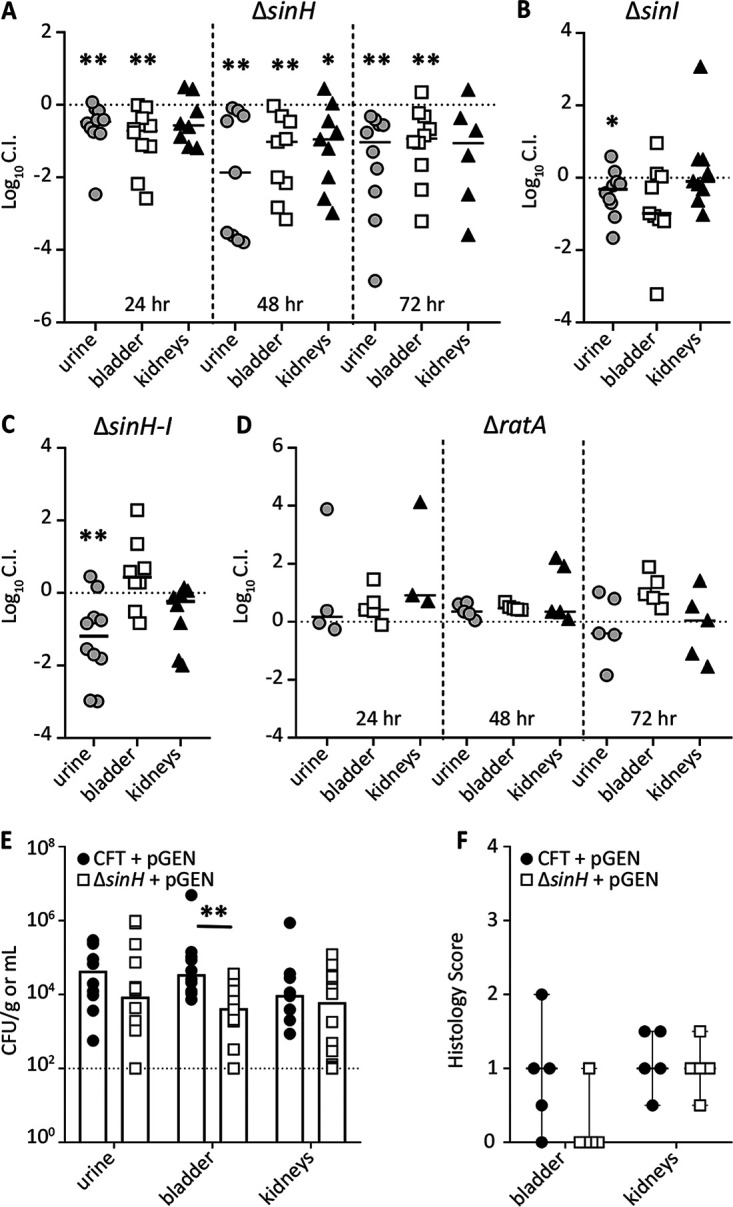 FIG 6